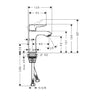 Hansgrohe Metris 100 Single Lever Basin Mixer With Waste - Indesign